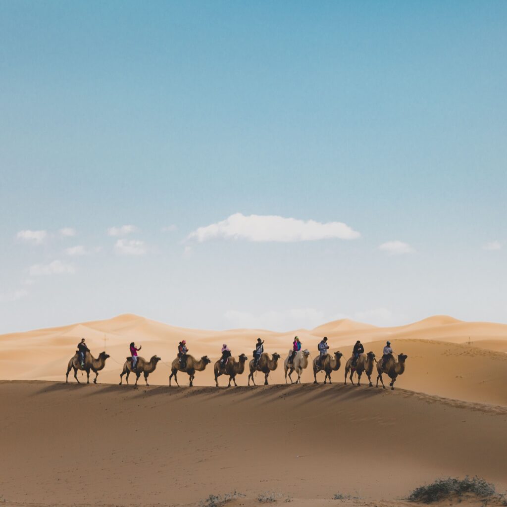 شركة الشفرة الاولى لتقنية المعلومات